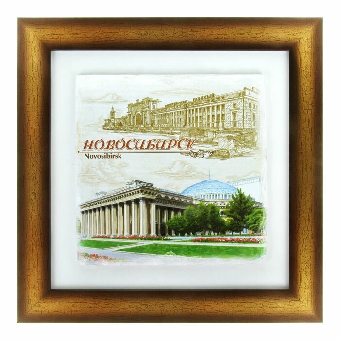 Панно интерьерное «Новосибирск» 245 х 245 см (арт. 885385)
