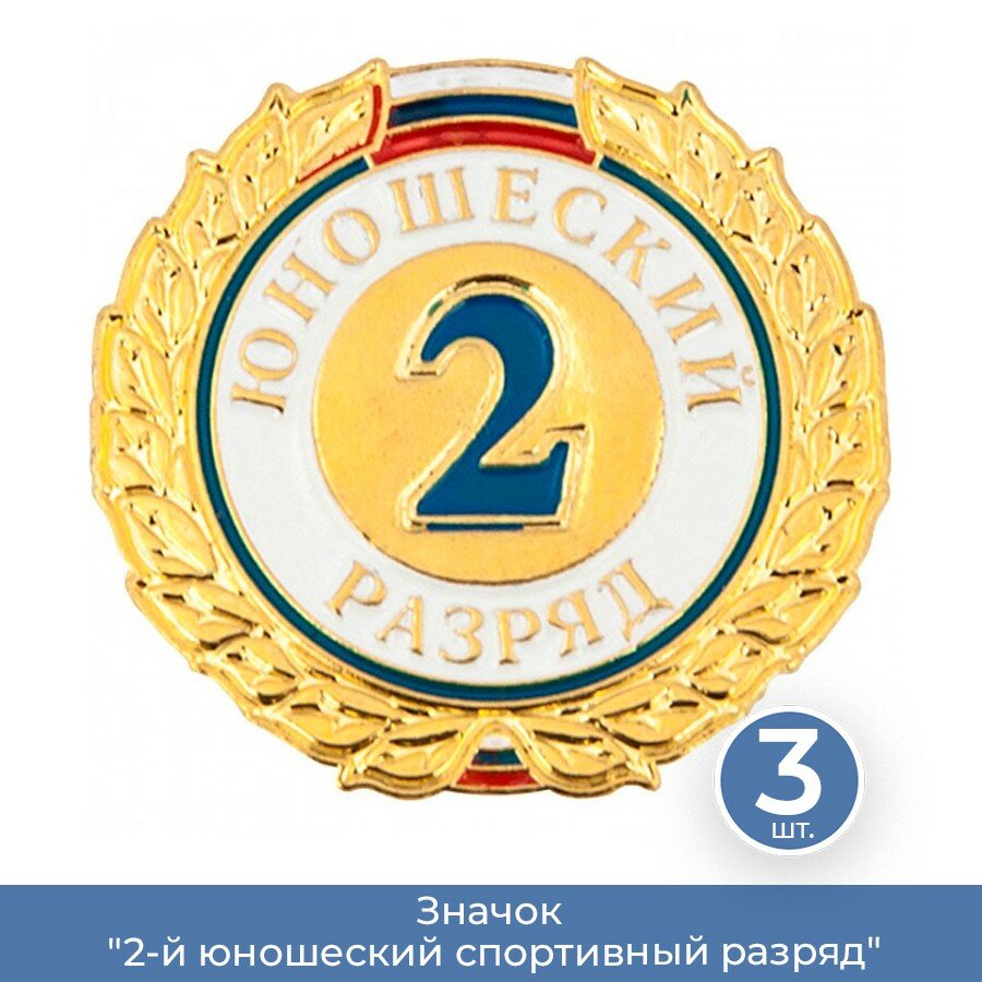 Подарки Значок "2-й юношеский спортивный разряд", 3 шт.