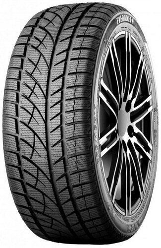 Шина Evergreen EW66 Winter 225/65R17 102S