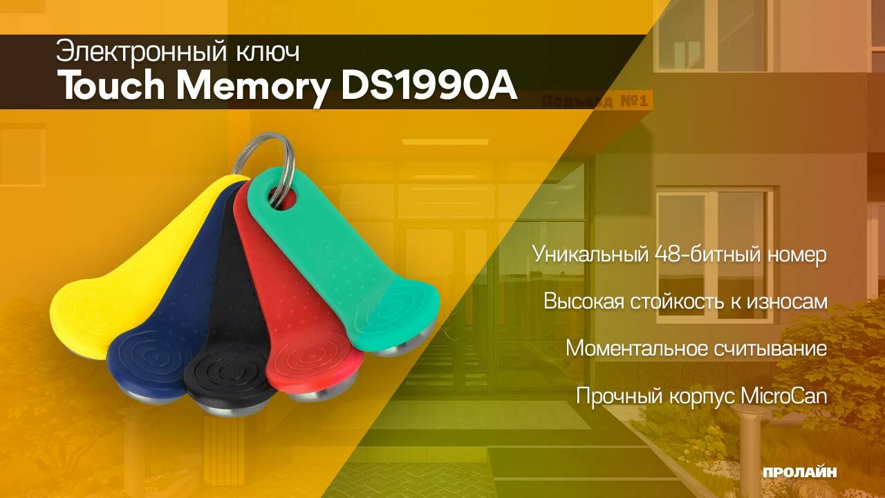 Электронный ключ Touch Memory DS1990A (черный)