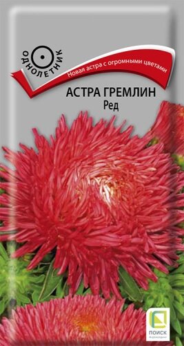 Астра Гремлин Ред коготковая 03г Одн 75см (Поиск)