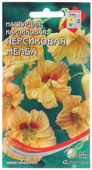 Семена цветов Настурция "Персиковая Мелба", 10 шт