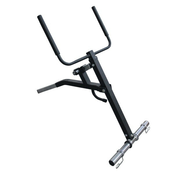 Опция DFC POWERGYM Dip machine Option6