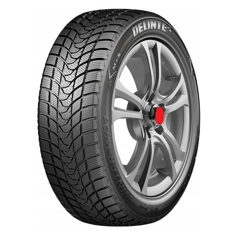 Автомобильные шины Delinte Winter WD1 215/45 R17 91H