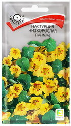 Семена цветов Настурция низкорослая "Пич Мелба", 1гр.