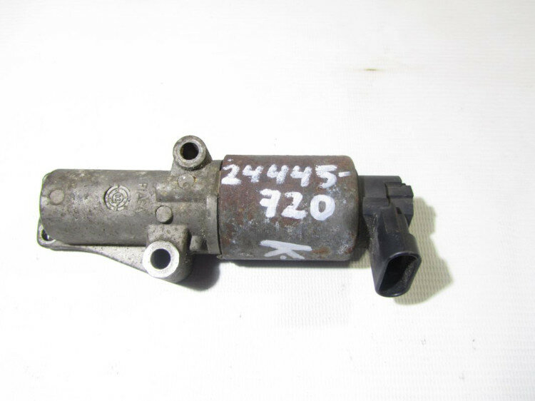 Courtney Love porno blog