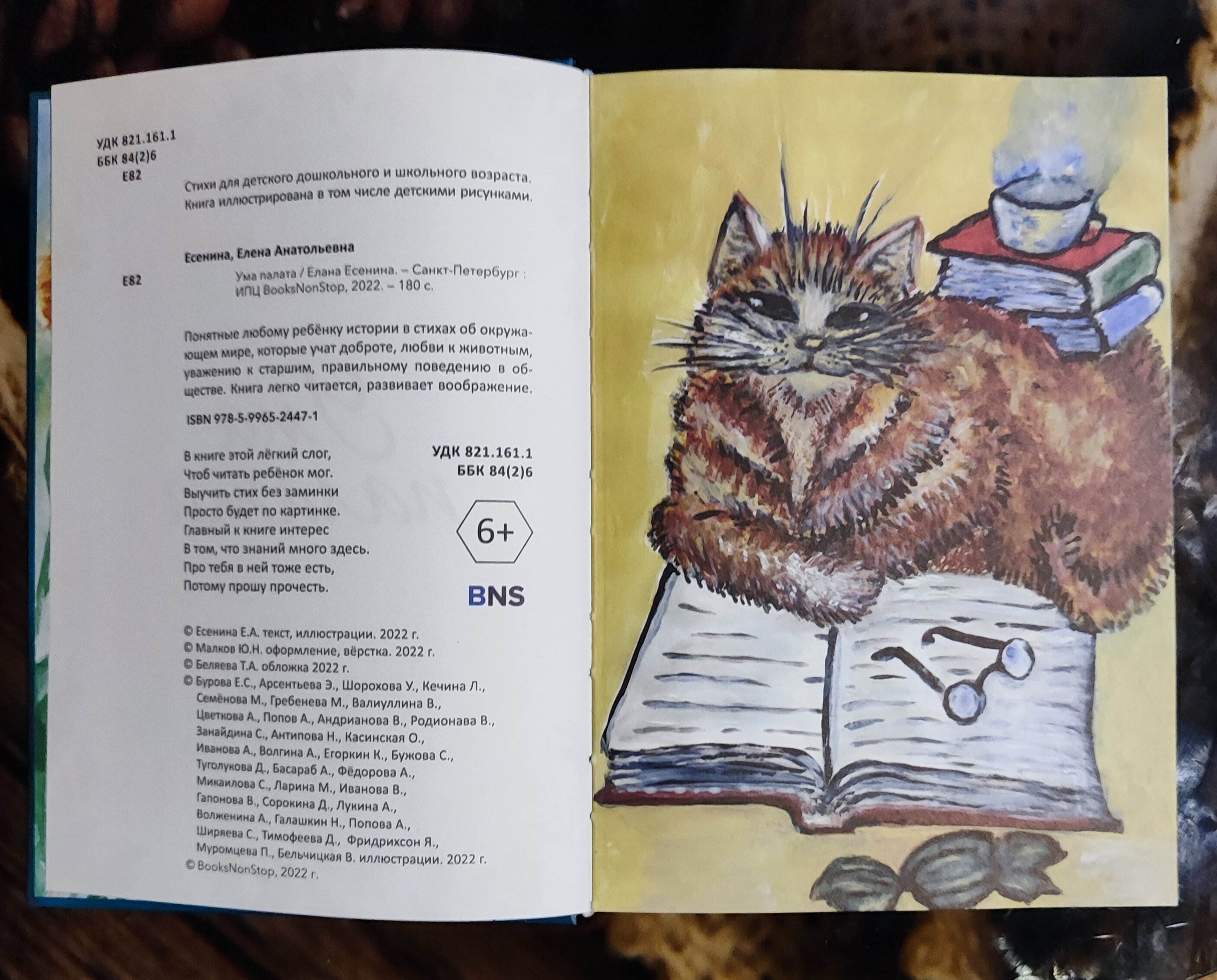 Ума палата (Есенина Елена Анатольевна) - фото №2