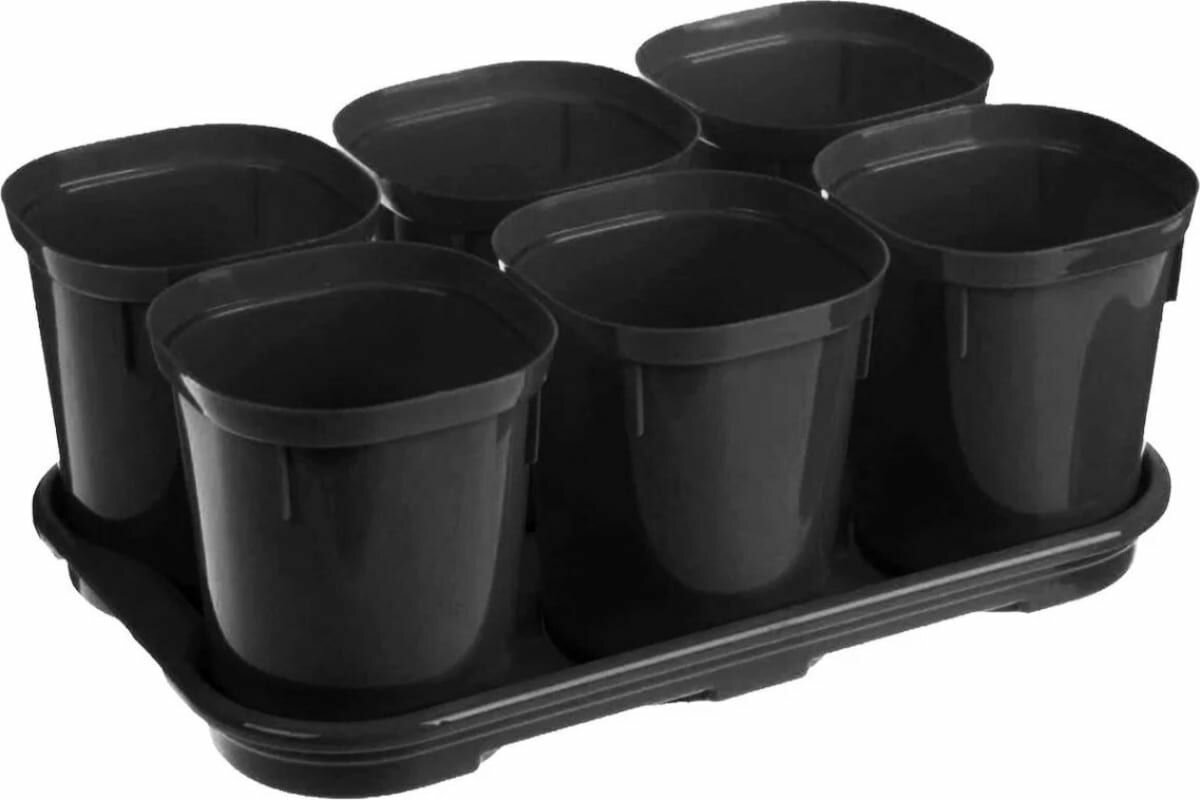 фото Набор для выращивания рассады 6x400 мл. INGREEN ING6035ЧР