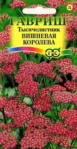 Тысячелистник Вишневая королева 005г