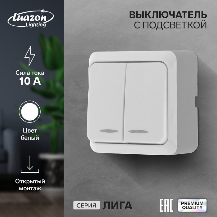 фото Выключатель Luazon Lighting "Лига", 10 А, 2 клавиши, накладной, c подсветкой, белый
