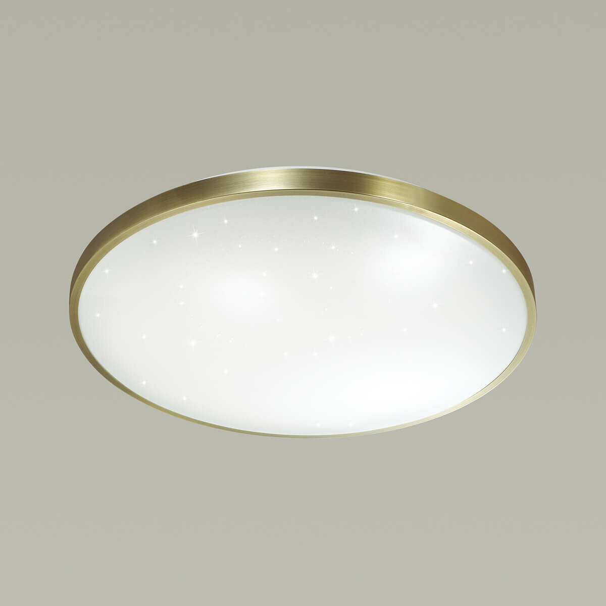 Настенно-потолочный светодиодный светильник Sonex Lota Bronze 2089/CL - фотография № 2