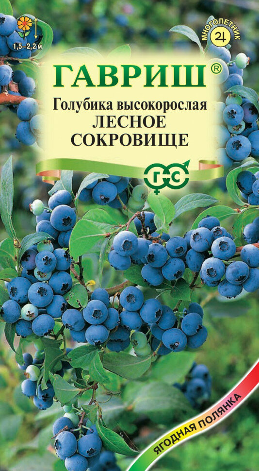 Семена Голубика высокорослая Лесное сокровище 30шт Гавриш Ягодная полянка 10 пакетиков