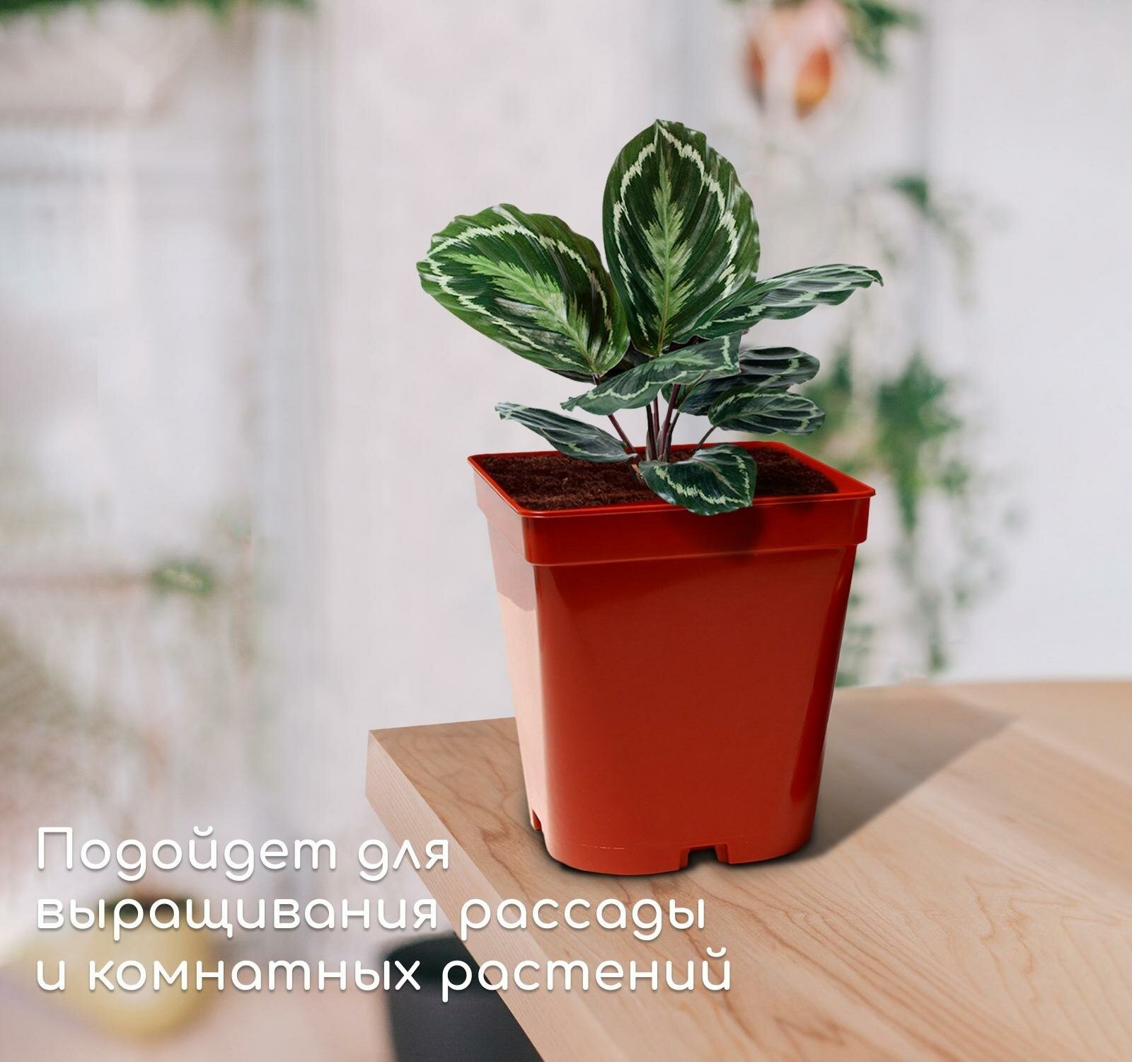 Горшок для рассады, 5 л, d 18,5 см, h 20 см, терракот, Greengo - фотография № 3