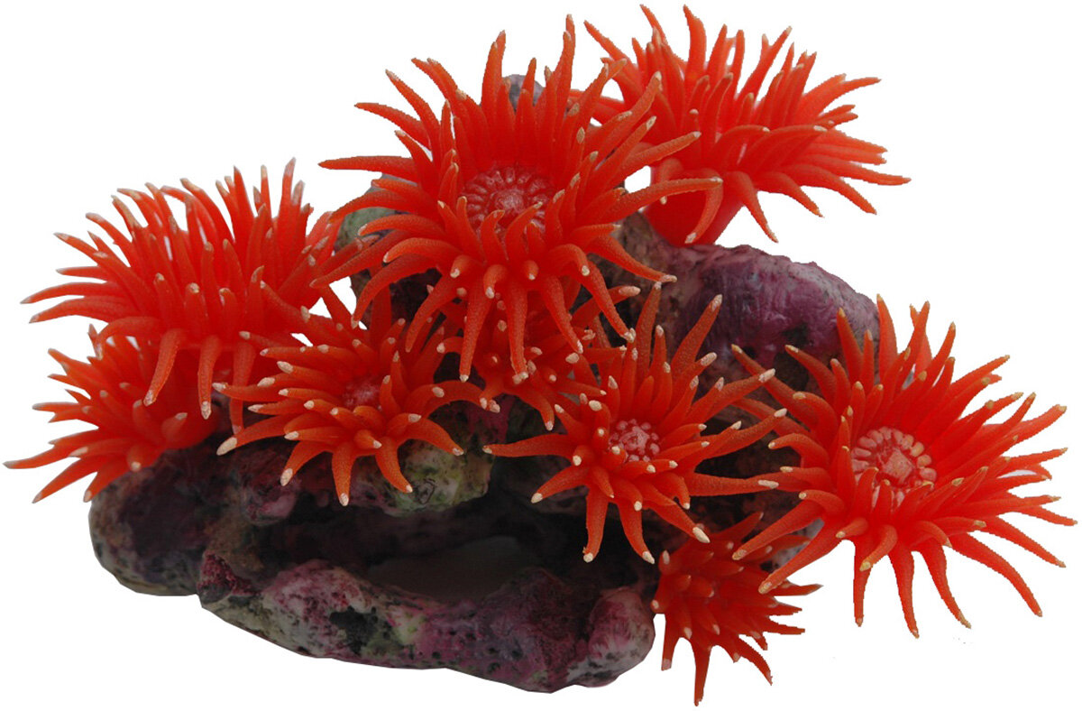 фото Декор для аквариума Коралл силиконовый Vitality красный 20 х 12 х 14 см NEW