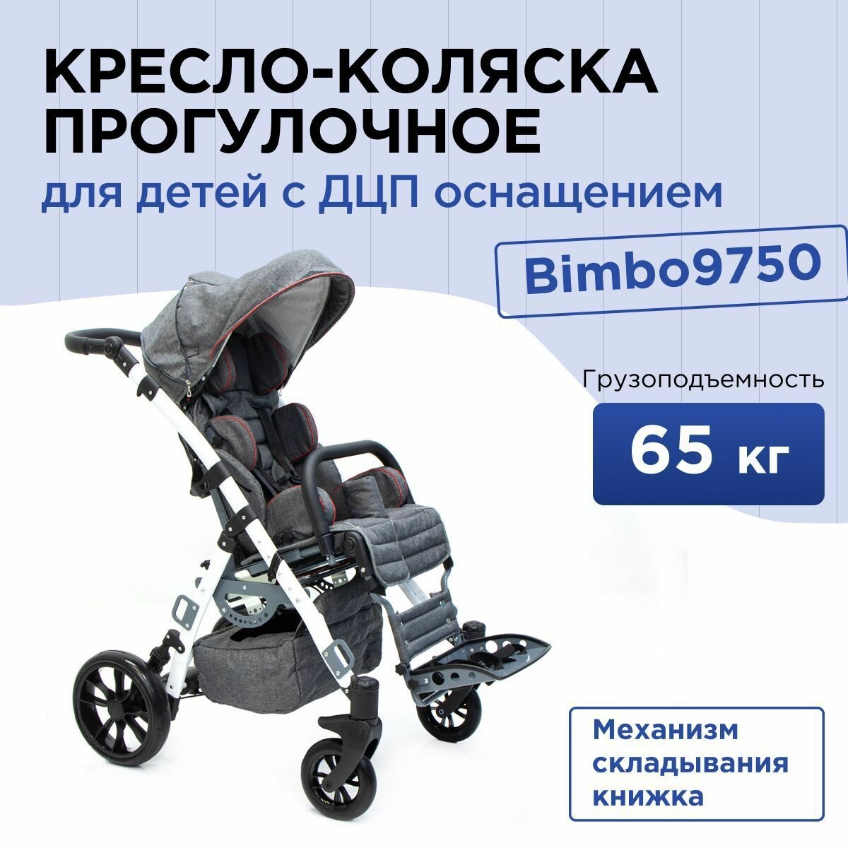 Кресло-коляска прогулочная для детей-инвалидов с ДЦП, Bimbo 9750