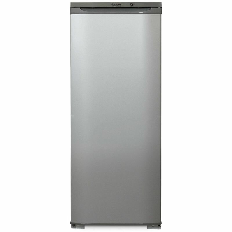 Холодильник Бирюса M 110, серебристый