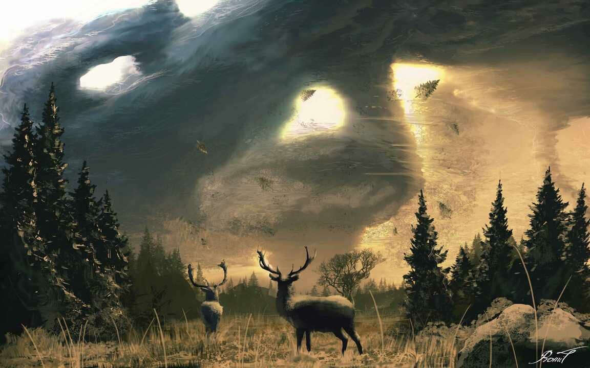 Картина на холсте 60x110 Альянс Лес "Олень, олени, рога, деревья, солнце" на подрамнике / интерьер/ декор