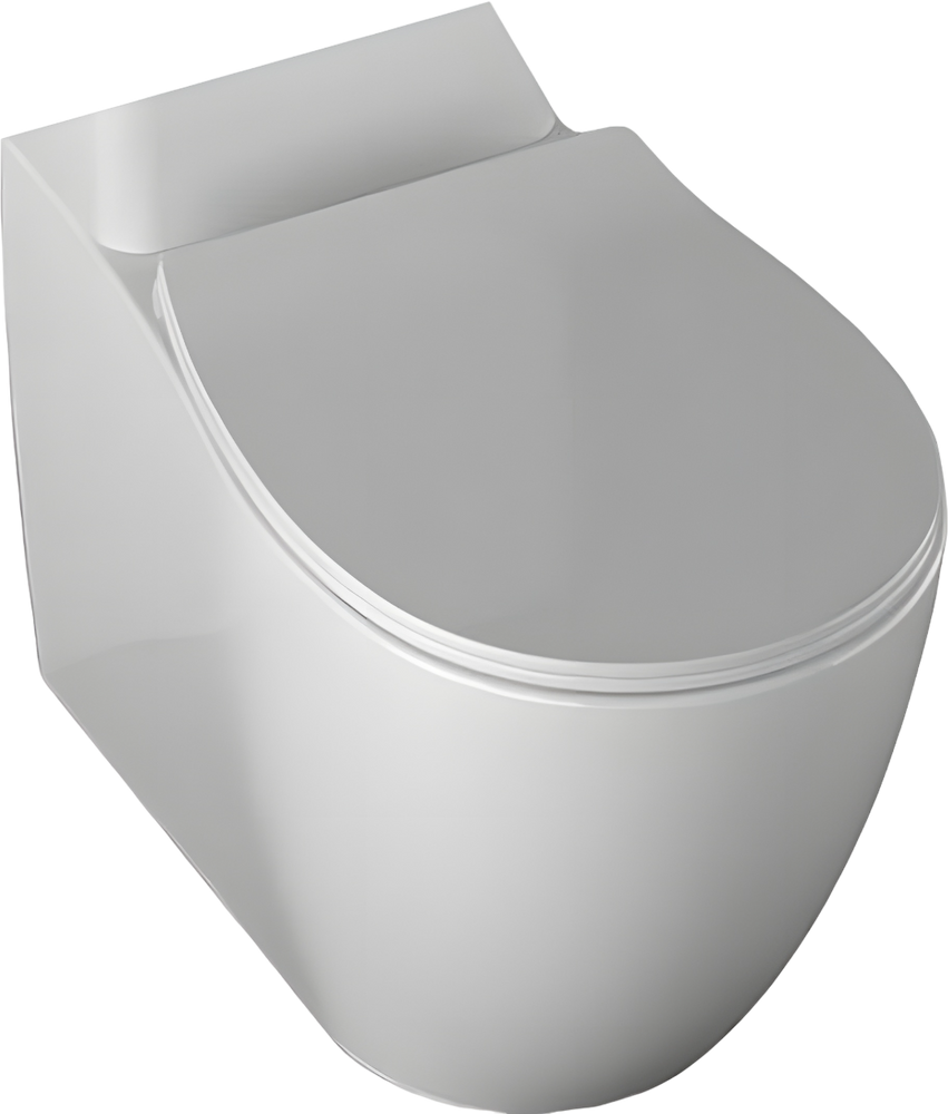 фото Allen Brau Чаша для унитаза-компакта Allen Brau Fantasy 4.11009.20 безободковая, белая глянец