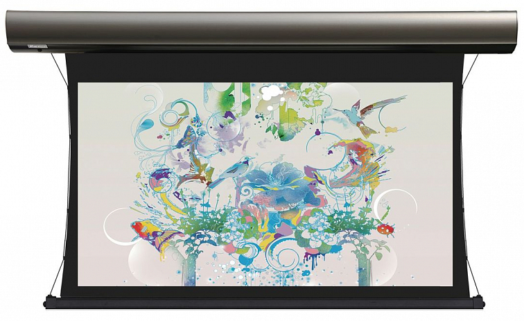 Экран для проектора Lumien Cinema Tensioned Control (LСTC-100131), Titanium