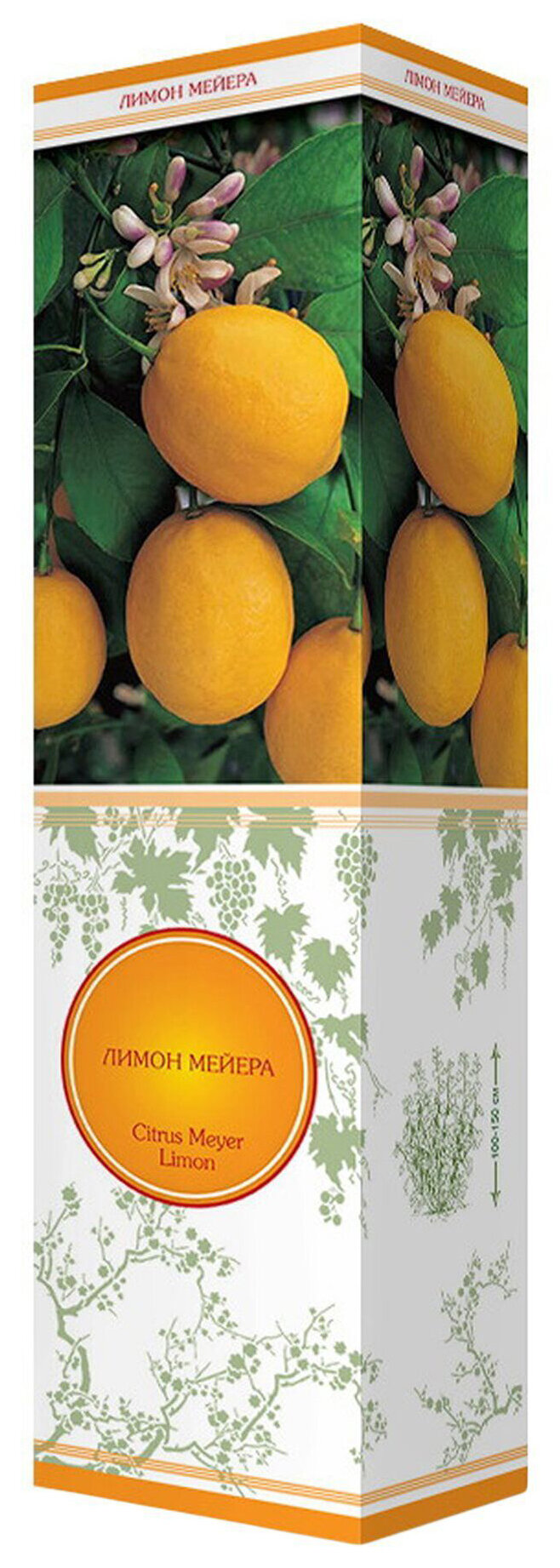 Растение Лимон Мейера 37 см