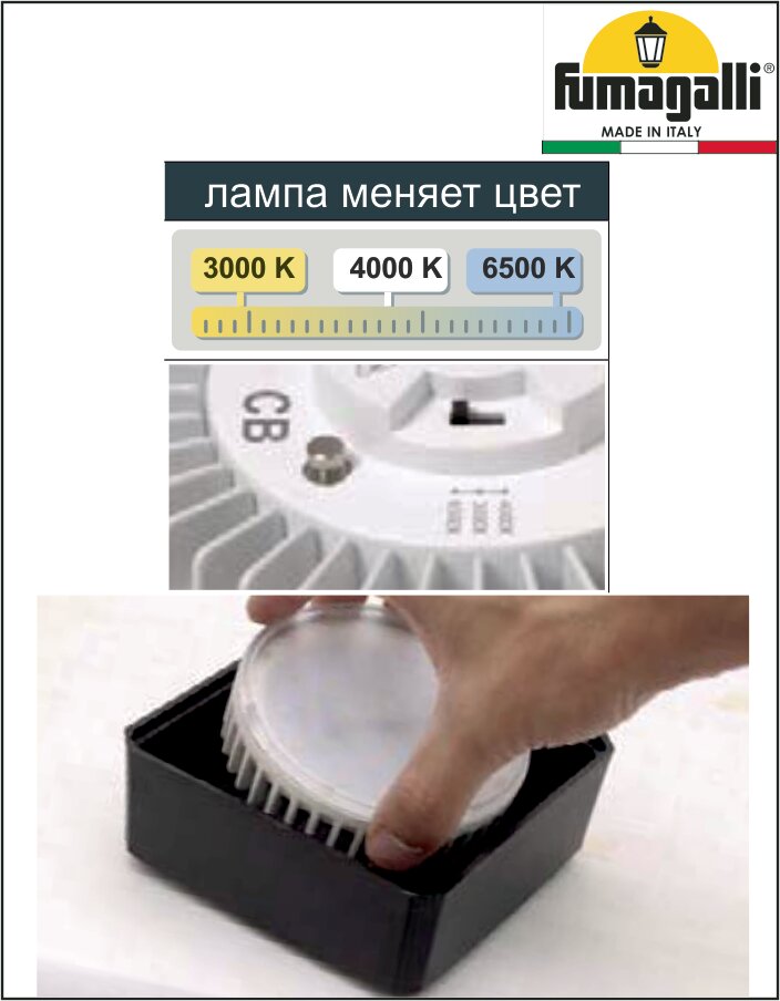 Светильник уличный ландшафтный FUMAGALLI ELISA SPIKE BLACK CLEAR GX53 LED 3W CCT SET - фотография № 3