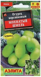 Семена Цветов Огурец "Мохнатый шмель", 10 шт, 3 упак.