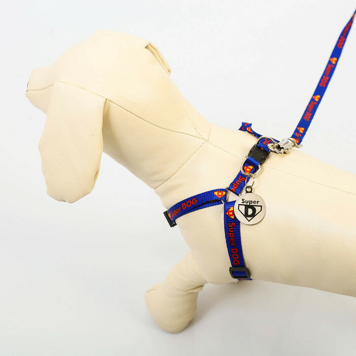 Пушистое счастье Комплект Super DOG, шлейка 26-39 см, поводок 120х1 см, медальон - фотография № 4