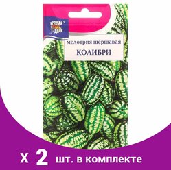 Семена цветов Мелотрия шершавая 'Колибри', 0,02 г (2 шт)