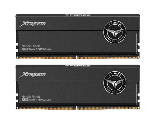 Оперативная память Team Group TEAMGROUP DDR5 T-Force Xtreem 48GB (2x24GB) 8200MHz PC-65600 CL38 (38-49-49-84) 1.40V Black (FFXD548G8200HC38EDC01)