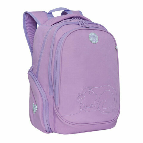 Рюкзак GRIZZLY школьный, комплект 3 шт., анатомическая спинка, 2 отделения, с вышивкой, для девочек, "PINK", 39х30х20 см, RG-268-1/1