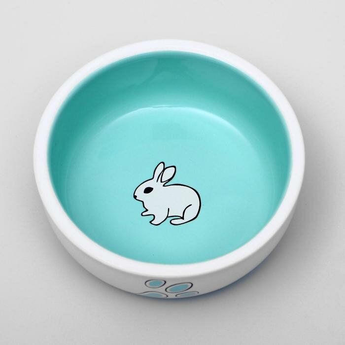 Миска керамическая для кроликов, 10 х 3,7 см, бело-зеленая 4789560 - фотография № 2