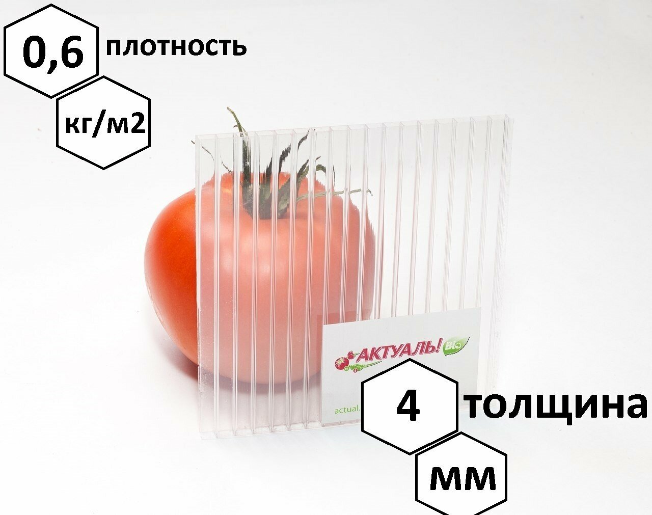 СПК 04мм 6000*2100мм Actual прозрачн.(0,6) - фотография № 3