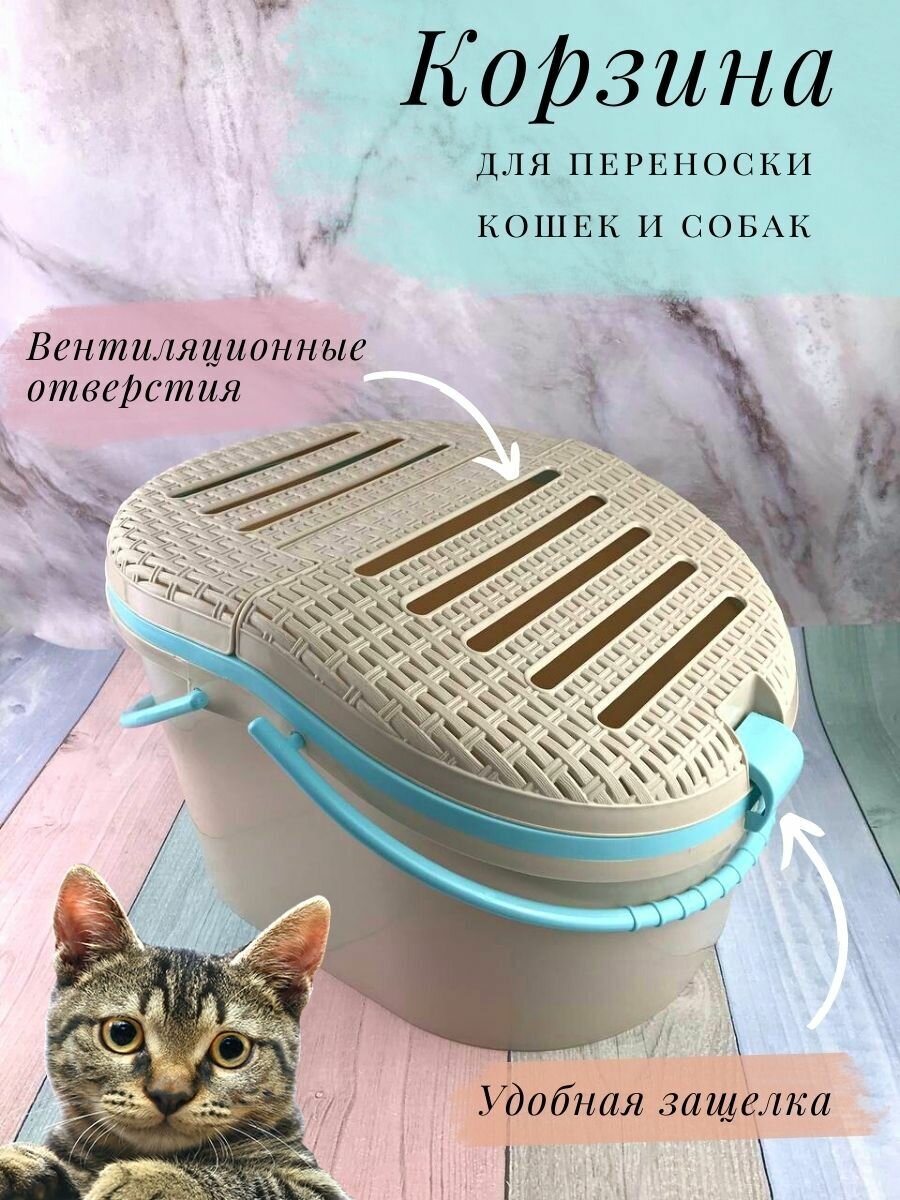 фото Переноска для кошек и собак (43х38см, высота 26см), крышка на защелке, цвет светло-бежевый