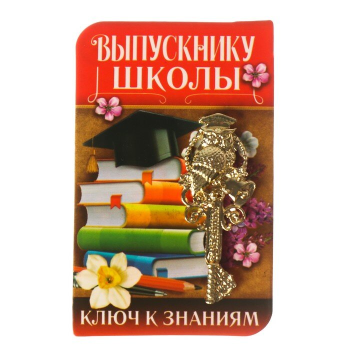 Venera Ключ сувенирный «Выпускнику школы», металл, 2 х 4,8 см - фотография № 1