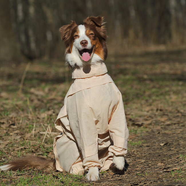 Комбинезон для собак Osso Fashion Анти Клещ, размер 30 - фотография № 4