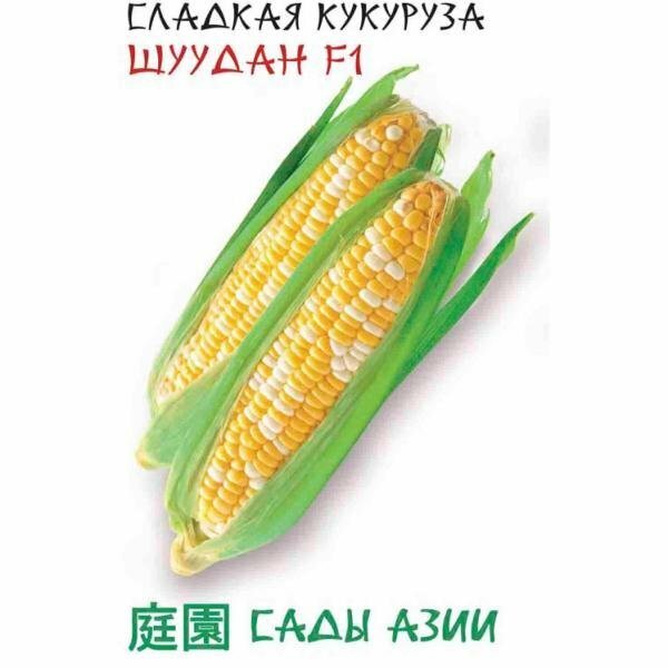 Сады азии Семена Кукуруза Сладкая Шудан 10 шт Сады Азии