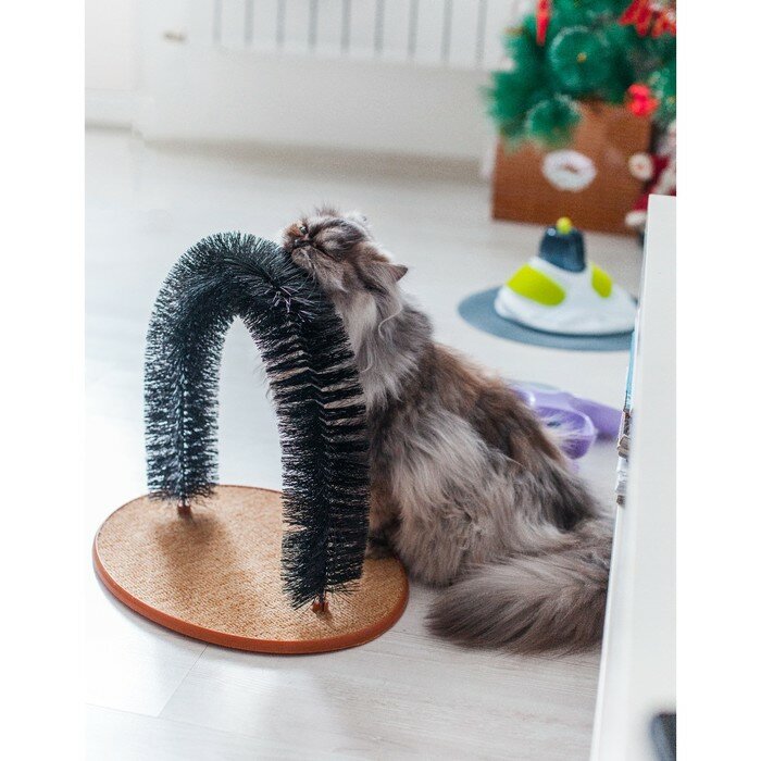 Комплекс для кошек с когтеточкой и аркой-чесалкой - фотография № 6