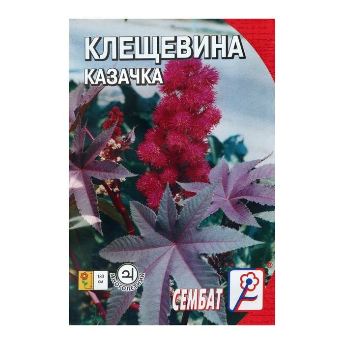 Семена цветов Клещевина "Казачка" 2 шт (5 шт)
