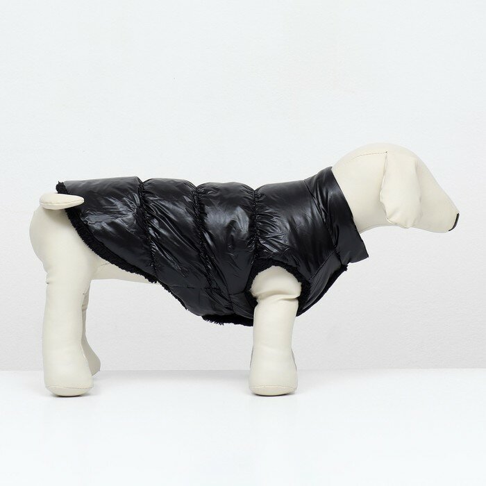 Куртка для собак "Блеск", XS (ДС 20, ОГ 28, ОШ 19 см, до 3 кг), чёрная - фотография № 3