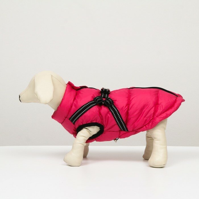 Куртка для собак со шлейкой, размер 22 (ДС 41 см, ОГ 60 см, ОШ 43 см), розовая - фотография № 4
