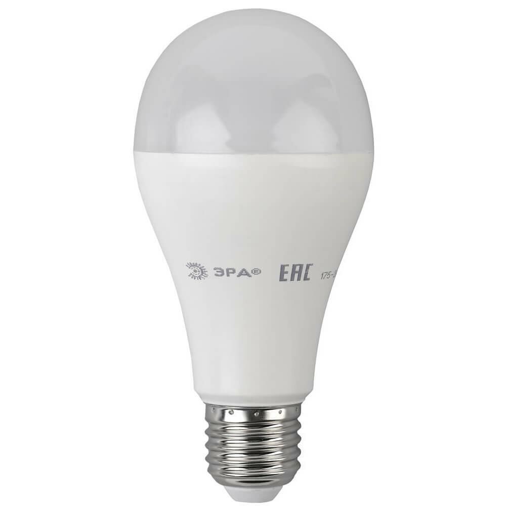 ЭРА Лампа светодиодная ЭРА E27 19W 6000K матовая LED A65-19W-860-E27 Б0031704