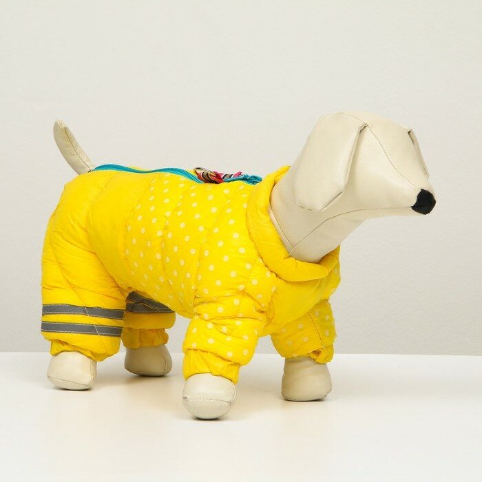 Комбинезон для собак Sima-land "Горошек", размер 16, желтый (6968575) - фотография № 1