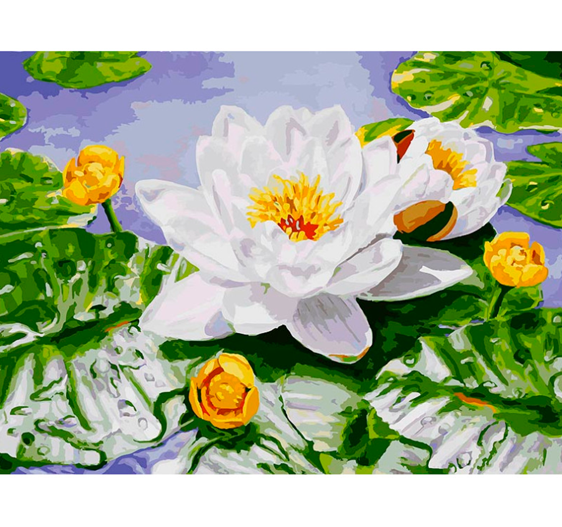 Картина по номерам Белоснежка "Нимфея озерная" / Раскраска / Холст на подрамнике 30х40 см. / Цветы