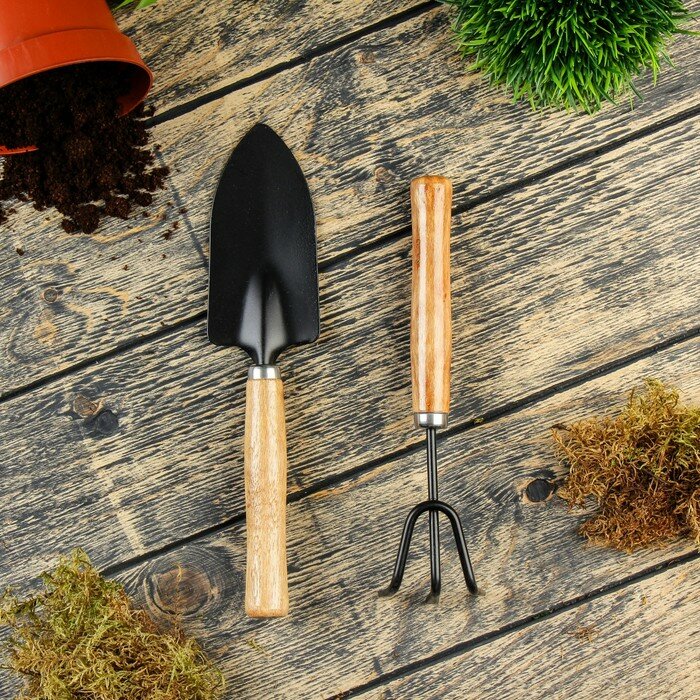 Набор садового инструмента, 2 предмета: рыхлитель, совок, длина 26 см, деревянные ручки - фотография № 1