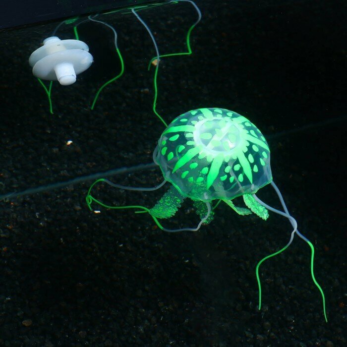 Декор для аквариума "Медуза" силиконовая, с неоновым эффектом, 5 х 5 х 15 см, зелёная - фотография № 8