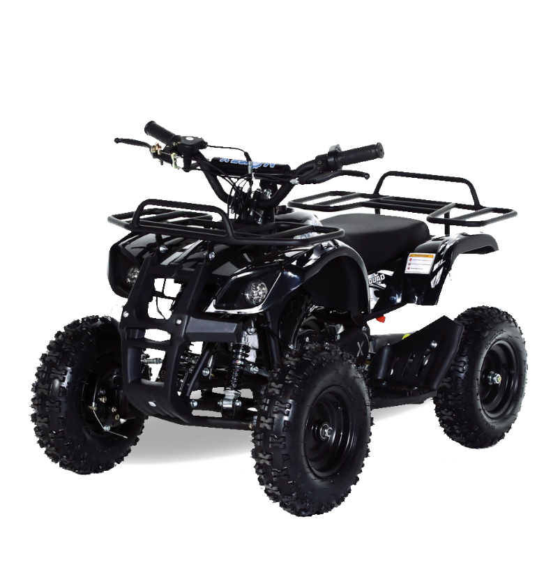 Детский квадроцикл MOTAX ATV Mini Grizlik Х-16 с электростартером и пультом (Черный)