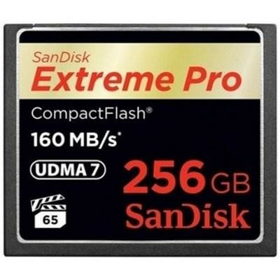 Карта памяти SanDisk 256GB SDCFXPS-256G-X46