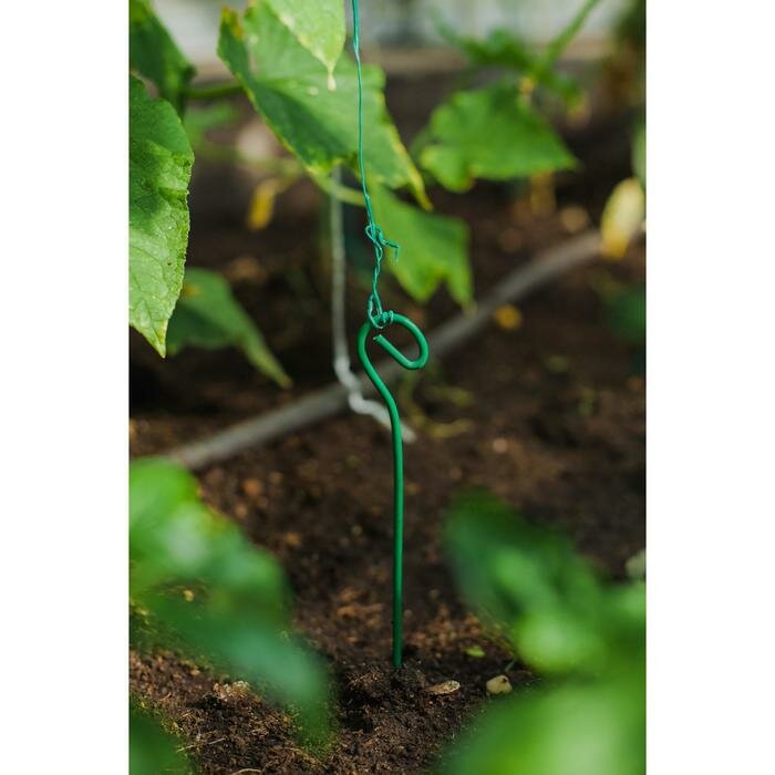 Колышек для подвязки растений, h = 60 см, d = 0.3 см, проволочный, зелёный, (10 шт) - фотография № 2