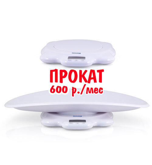 Прокат весов Scaly Up (600 р./месяц)