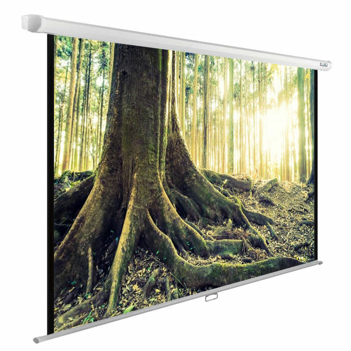 Экран Cactus 220x220см WallExpert CS-PSWE-220x220-WT 1:1, настенно-потолочный рулонный